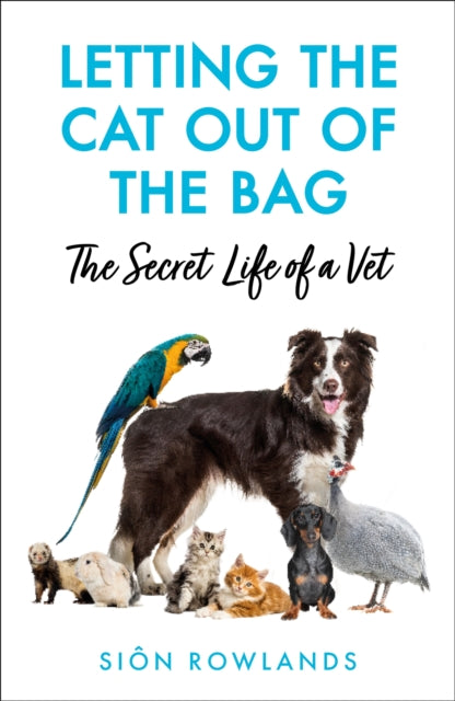 Letting The Cat Out Of The Bag By Rowlands, Sion