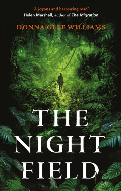 Night Field