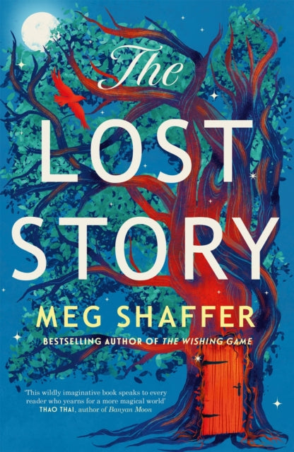 Lost Story By Shaffer, Meg