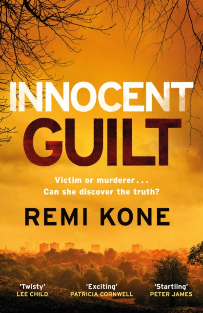 Innocent Guilt By Remi Kone