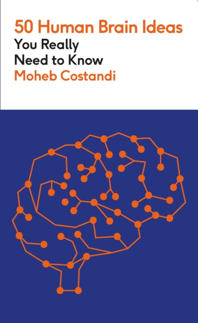 50 Human Brain Ideas You Really Need To