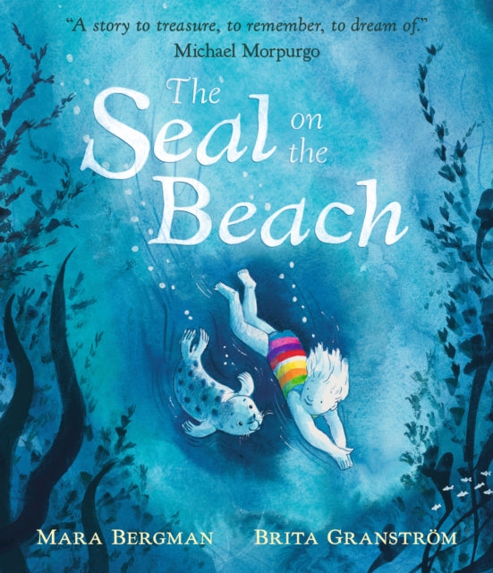 Seal On The Beach