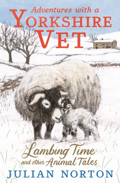 Adventures With A Yorkshire Vet Lambing