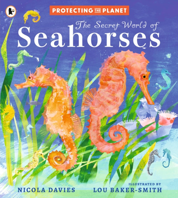 Secret World Of Seahorses