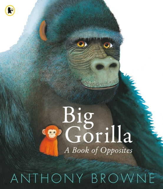 Big Gorilla A Book Of Opposites