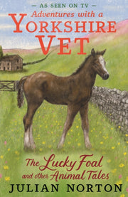 Lucky Foal & Other Animal Tales By Norton, Julian