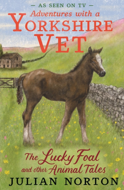 Lucky Foal & Other Animal Tales By Norton, Julian