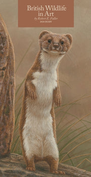 British Wildlife In Art By Robert Fuller