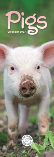 Pigs Slim Calendar 2027