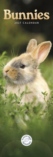 Bunnies Slim Calendar 2027