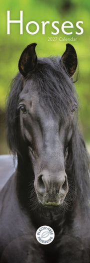 Horses Slim Calendar 2027
