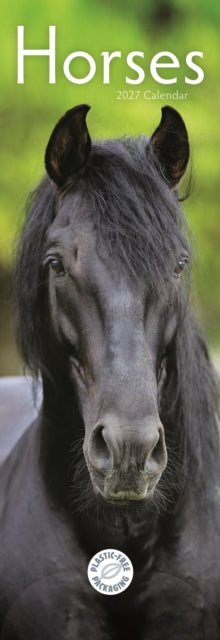 Horses Slim Calendar 2027