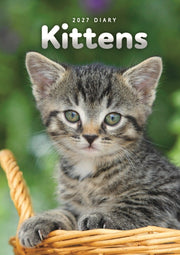Kittens A5 Diary 2027
