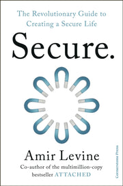 Secure By Levine, Amir