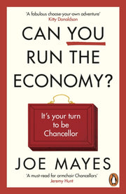 Can You Run The Economy By Mayes, Joe