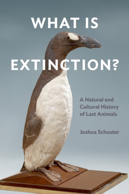 What Is Extinction
