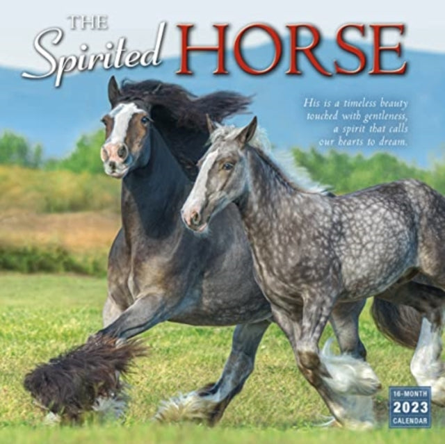 Spirited Horse The