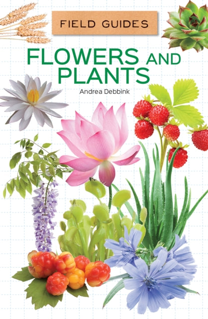Flowers & Plants By Debbink, Andrea