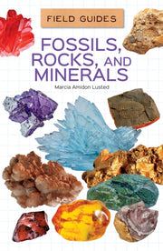 Fossils Rocks & Minerals By Lusted, Marcia Amido