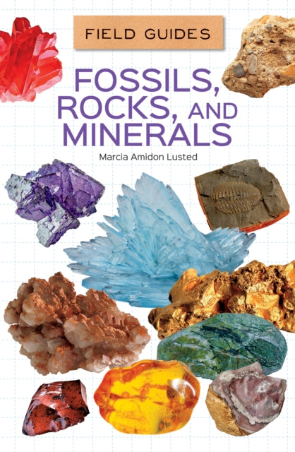 Fossils Rocks & Minerals By Lusted, Marcia Amido