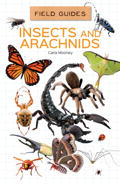 Insects & Arachnids By Mooney, Carla