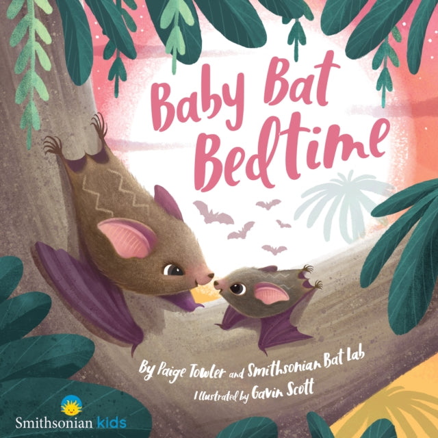 Baby Bat Bedtime By Towler, Paige