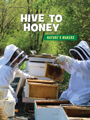 Hive To Honey By Knutson, Julie