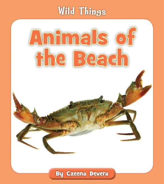 Animals Of The Beach By Devera, Czeena
