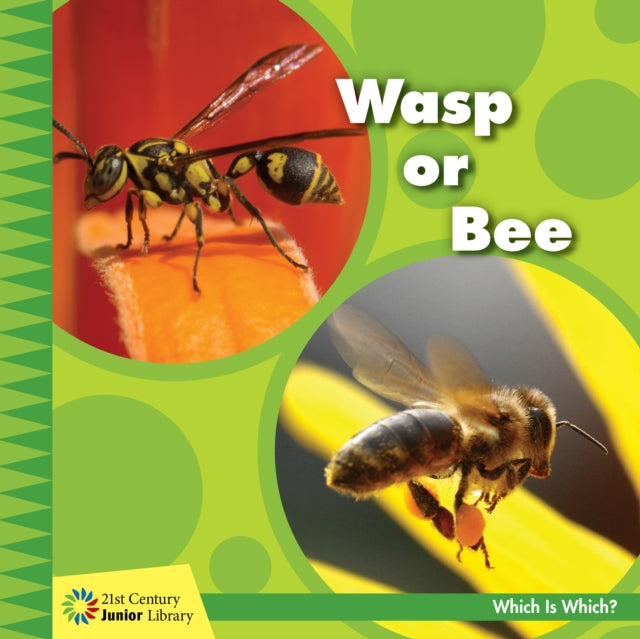 Wasp Or Bee By Orr, Tamra B.