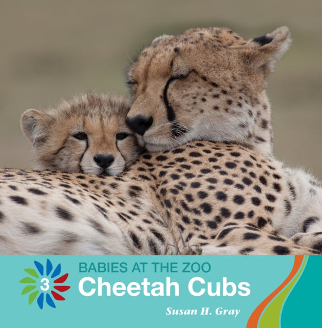 Cheetah Cubs By Gray, Susan H.
