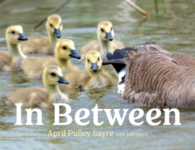 In Between By Sayre, April Pulley