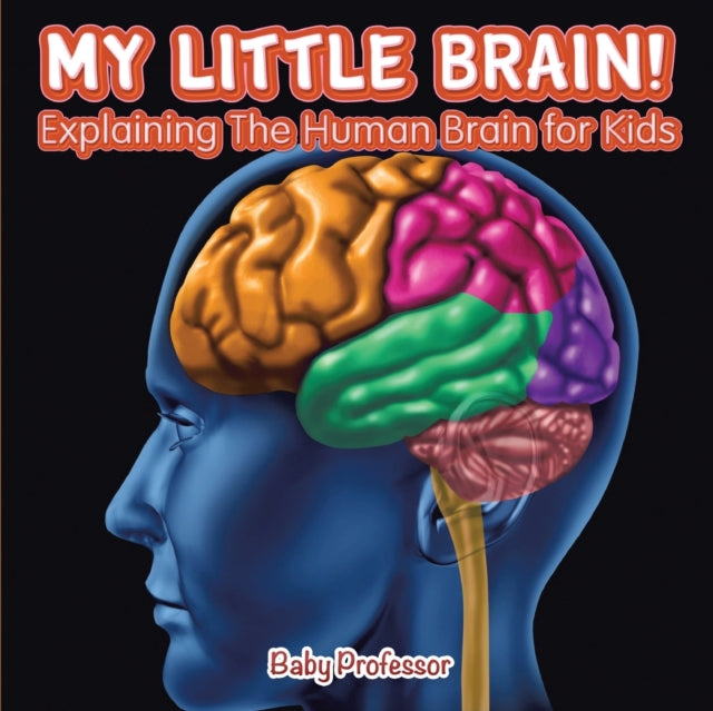 My Little Brain! - Explaining The Human