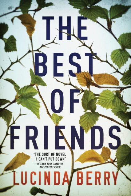 Best Of Friends The By Lucinda Berry