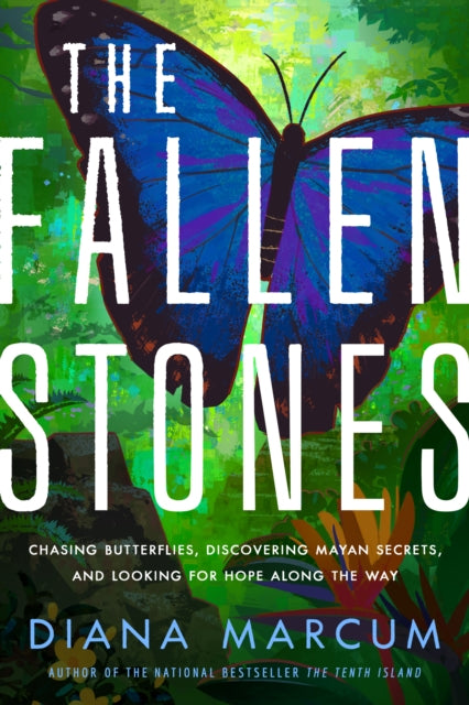 Fallen Stones The