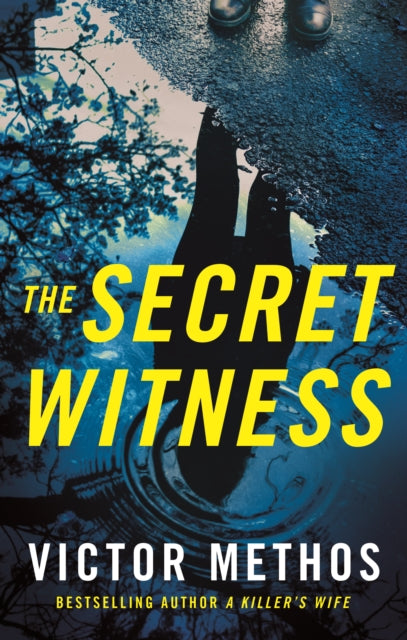 Secret Witness The
