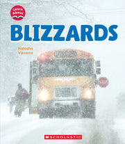 Blizzards By Vizcarra, Natasha