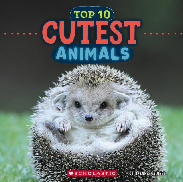 Top 10 Cutest Animals By Maloney, Brenna