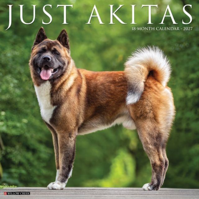 Akitas 2027 Wall By Willow Creek Press