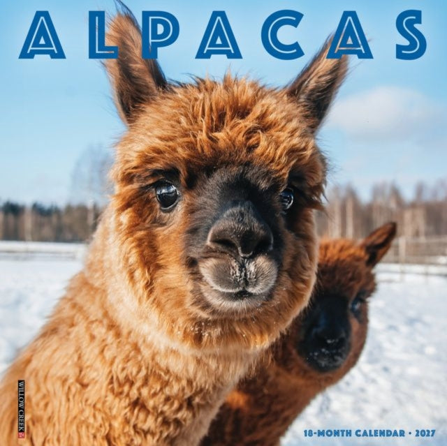 Alpacas 2027 Wall By Willow Creek Press