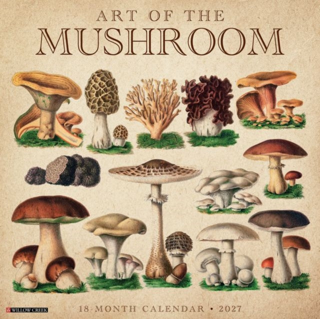 Art Of The Mushroom 2027 Wall By Willow Creek Press