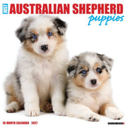 Australian Shepherd Puppies 2027 Wall By Willow Creek Press