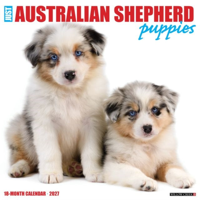 Australian Shepherd Puppies 2027 Wall By Willow Creek Press