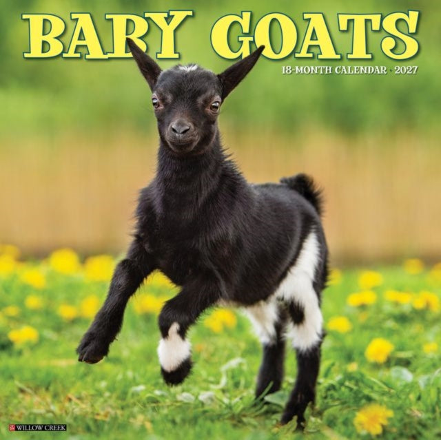 Baby Goats 2027 Wall By Willow Creek Press