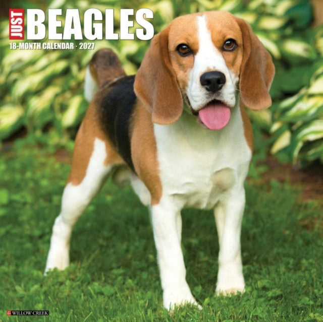 Beagles 2027 Wall By Willow Creek Press
