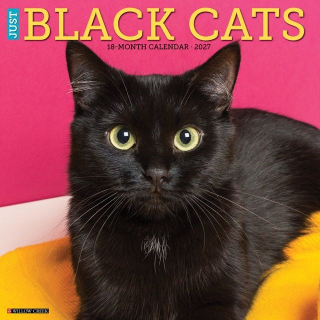 Black Cats 2027 Wall By Willow Creek Press