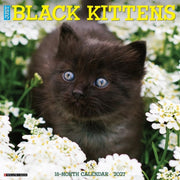 Black Kittens 2027 Wall By Willow Creek Press