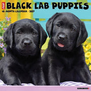 Black Lab Puppies 2027 Wall By Willow Creek Press