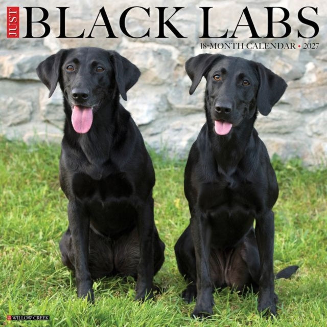 Black Labs 2027 Wall By Willow Creek Press
