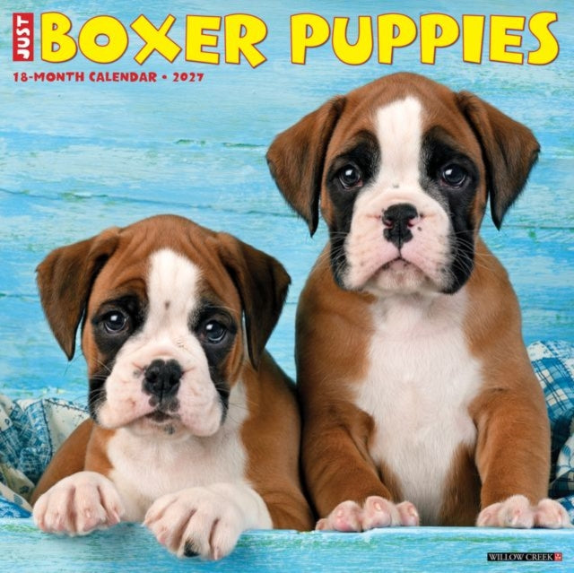 Boxer Puppies 2027 Wall By Willow Creek Press