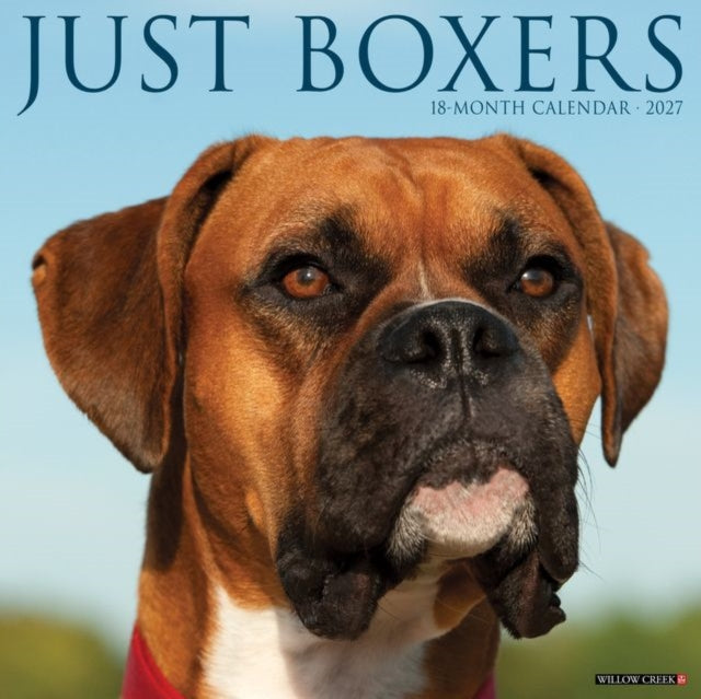 Boxers 2027 Wall By Willow Creek Press